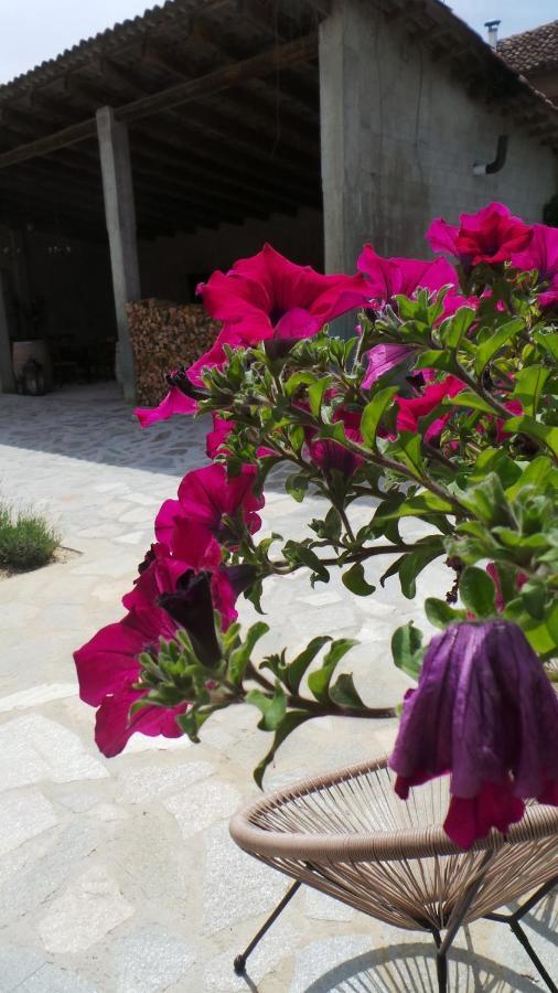Sotto La Vigna suite Adults only vacation Montegrosso dʼAsti Esterno foto